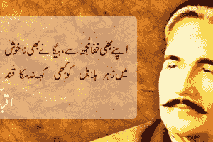 کلاسیکی شاعری: ادب کی بنیاد